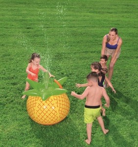 Water Play Item Pineapple