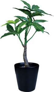 Artificial Plant black