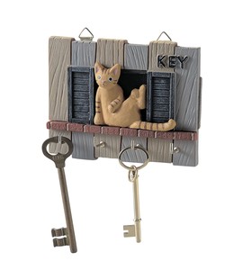 Storage Accessories Cat