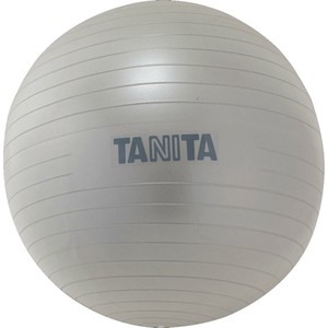 TANITA タニタ ジムボール TS-962SV