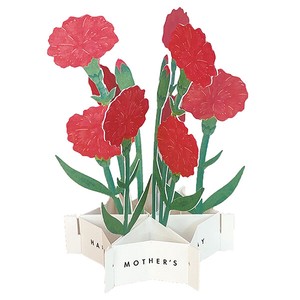 Greeting Card Red Carnation