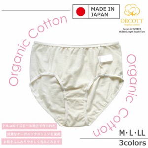 Panty/Underwear L Ladies' Organic Cotton Made in Japan