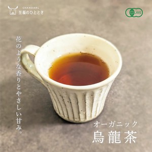 オーガニック 烏龍茶（ティーバッグ5P） 華やかな香り 国産 有機ウーロン茶