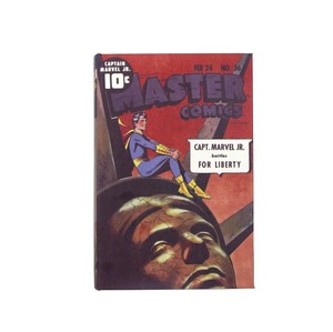 【5月中旬入荷予定】アメリカンコミック ブックボックス MASTER COMICS