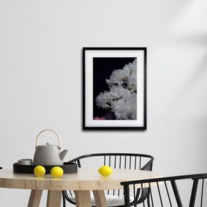 【アートポスター】写真 日本 花 シャクナゲ ツツジ 風景景色 photo japan flower A4サイズ 額縁付
