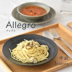 Allegro中皿