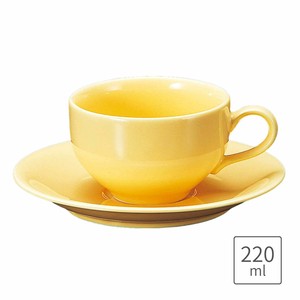 サニー紅茶カップ&ソーサー日本製 美濃焼