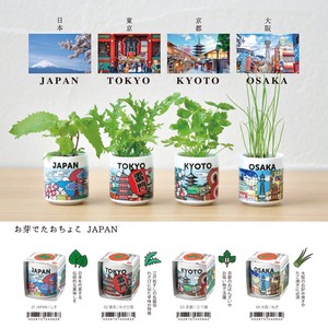 「栽培セット」お芽でたおちょこ JAPAN