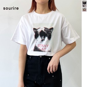 T-shirt Oversized T-Shirt Cat Tops Ladies' Cut-and-sew 【2024NEW】