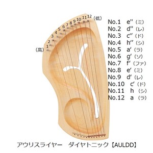 アウリスライヤー　ダイヤトニック（弦販売）【木製】【楽器】【ギフト】