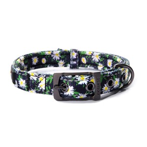 Dog Collar black Daisy M