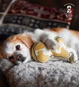 ドッグアイコン抱き枕 DOGS FOR PEACE / ドッグスフォーピース イヌ 犬
