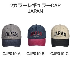 2カラーレギュラーCAP JAPAN
