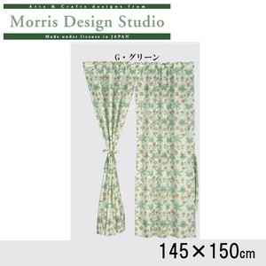 川島織物セルコン Morris Design Studio デイジーシアー スタイルのれん(防炎) EJ1718　G・グリーン