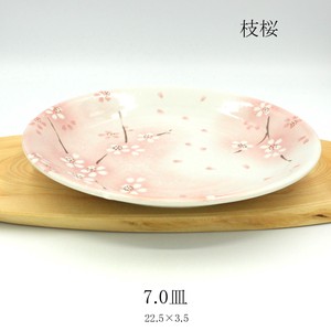 7.0皿　枝桜　【大皿 日本製 美濃焼 春】