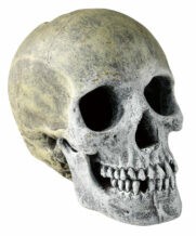 [ペットライブラリー] aquaneru　アクアリウムオーナメント　頭蓋骨