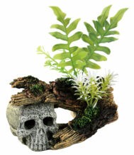 [ペットライブラリー] aquaneru　アクアリウムオーナメント　頭蓋骨と植物