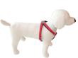 Dog Harness Size M Made in Japan