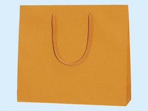 ヘイコー 手提げ 紙袋 プレーンチャームバッグ オレンジ 10枚