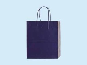ヘイコー 手提げ 紙袋 PBスムースバッグ 紫紺 10枚