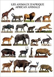■ポストカード■African Animals