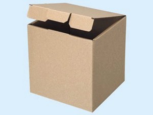 【ギフトボックス】ヘイコー 箱 ナチュラルボックス 無地 サック式 10枚