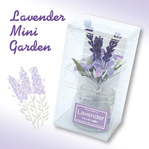 Aromatherapy Item Garden Lavender