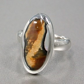 Silver-Based Shell Ring Brown sliver