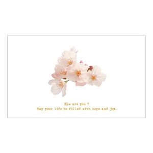 ステーショナリー/桜シリーズ/ナチュラルフォトポストカード