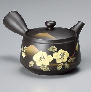 Tokoname ware Japanese Teapot Premium Tea Pot