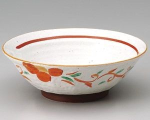 Mino ware Donburi Bowl Arabesques Ramen Bowl Made in Japan