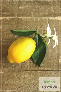 【フェイクフルーツ】Lemon♪レモン(花つき）【雑貨】20360