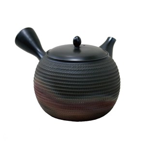 Tokoname ware Japanese Teapot L size Tea Pot