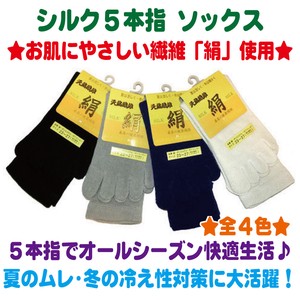 Crew Socks Socks 4-colors