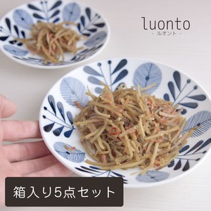 【ギフト】luonto-ルオント- 18cm中プレート 5点セット[H143][日本製/美濃焼/洋食器]