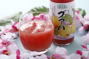 順造選　グァバ(500ml)【40％混合果汁入り飲料】