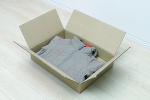 Packaging Box Dumbo