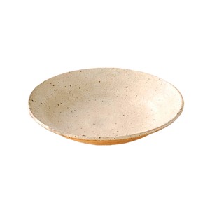 Shigaraki ware Main Plate 20cm