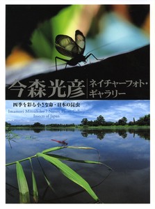 四季を彩る小さな命・日本の昆虫