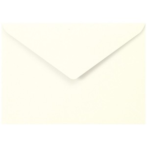 Store Supplies Envelopes/Letters Natural