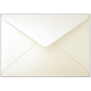 Store Supplies Envelopes/Letters sliver