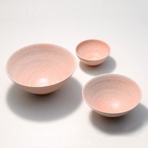 Shigaraki ware Donburi Bowl Coral L M