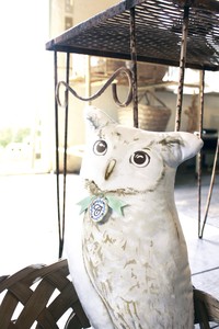 Cushion Owl Animal
