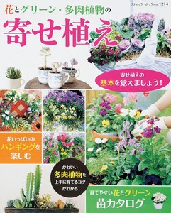 花とグリーン・多肉植物の　寄せ植え【園芸・植物・DIY】