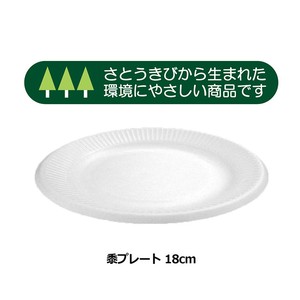 Disposable Tableware