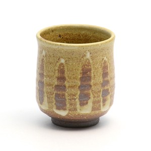 Shigaraki ware Japanese Tea Cup