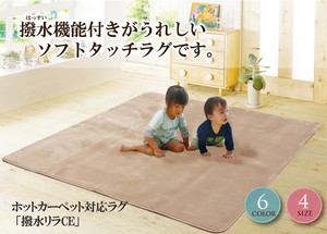Rug Water-Repellent Finish