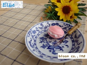 エルベ　フルーツ皿セット　美濃焼　日本製