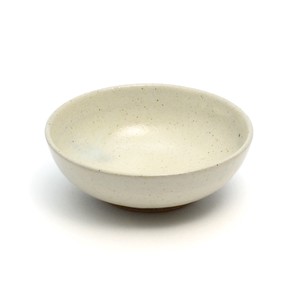 Shigaraki ware Main Plate (S)