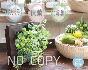 【CT触媒】消臭 ウォールグリーン フェイクグリーン 人工観葉植物 壁面装飾 造花 インテリア雑貨 置物